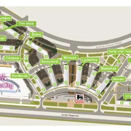 Apartment Euforia Belgrade