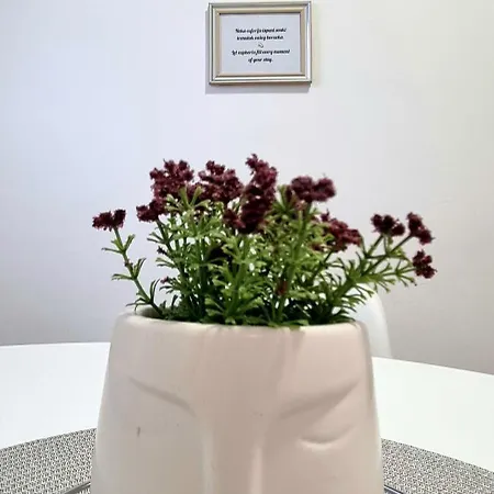 Euforia Apartment *