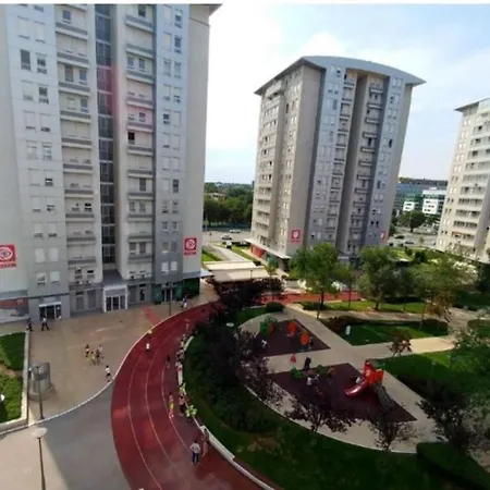 Euforia * בלגרד